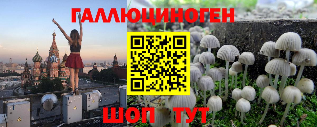 Псилоцибиновые грибы мухоморы  Вход с VPN  Псилоцибиновые грибы Cubensis  Усолье-Сибирское 